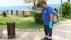 Antalya'da 19 ilçede vektörle yoğun mücadele