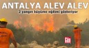 Antalya'da 2 yangın büyüme eğilimi gösteriyor