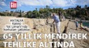 Antalya'da 65 yıllık mendirek tehlike altında
