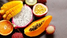 Antalya'da 8 yeni tropikal meyve çeşidi tescillendi