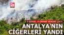 Antalya'da 9 günde 14 orman yangını
