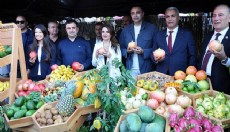Antalya'da Çekirdeksiz Nar ve Tropikal Meyve Festivali başladı