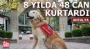 Antalya'da JAK köpeği 'Ocak', 8 yılda 48 can kurtardı