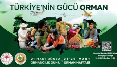 Antalya'da Orman Haftası etkinliği 24 Mart’ta