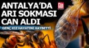 Antalya'da arı sokması can aldı