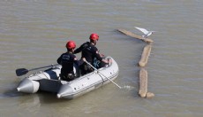Antalya'da ayağına misina dolanan martıyı itfaiye eri kurtardı