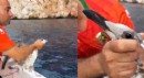 Antalya'da misinaya dolanan martıyı balıkçılar kurtardı