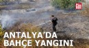 Antalya'da bahçe yangını