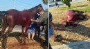 Antalya'da başıboş at yola çıkınca otomobil çarptı: 3 yaralı