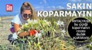 Antalya'da bu çiçeği sakın koparmayın! Cezası dudak uçuklatıyor
