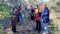 Antalya'da budama eğitimi tamamlandı