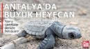 Antalya'da büyük heyecan