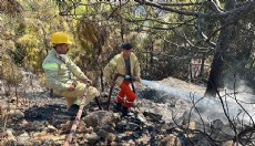 Antalya'da çalılık yangını söndürüldü