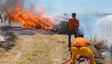 Antalya'da çalılıktaki yangın seraya sıçradı