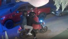 Antalya'da çiçekçiden pelüş ayı hırsızlığı kamerada