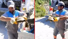 Antalya'da çöp konteynerine atılan kaplumbağa kurtarıldı