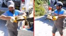 Antalya'da çöp konteynerine atılan kaplumbağa kurtarıldı