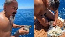 Antalya'da çuvala dolanan deniz kaplumbağası kurtarıldı