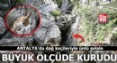 Antalya'da dağ keçileriyle ünlü şelalede 'kuraklık' tehlikesi