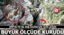 Antalya'da dağ keçileriyle ünlü şelalede 'kuraklık' tehlikesi