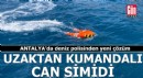 Antalya'da deniz polisinden yeni çözüm