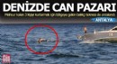 Antalya'da denizde can pazarı