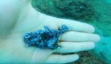 Antalya'da denizden 'büyü malzemesi' çıkarıyor