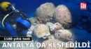 Antalya'da denizin altından 1100 yıllık testi çıkarıldı