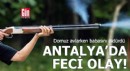 Antalya'da feci olay! Domuz avlarken babasını öldürdü