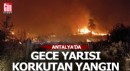 Antalya'da gece yarısı korkutan yangın