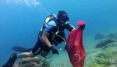Antalya'da hıdırellez dilekleri, deniz yaşamını tehdit ediyor