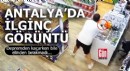 Antalya'da ilginç görüntü: Depremden kaçarken bile elinden bırakmadı