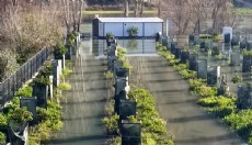 Antalya'da ırmak taştı, narenciye bahçelerini su bastı