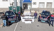 Antalya'da jandarmadan silah kaçakçılığı operasyonu