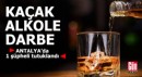 Antalya'da kaçak alkole darbe: 1 tutuklama