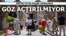 Antalya'da kaçak rehberlere göz açtırılmıyor