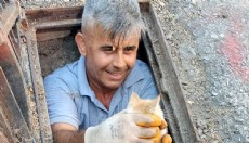 Antalya'da kanalizasyona düşen kedi kurtarıldı
