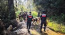 Antalya'da kayıp 41 keçiyi jandarma buldu