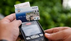 Antalya'da kesilmekten kurtarılan ağaçlar nefes oldu