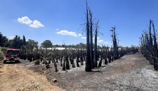 Antalya'da kırsal alandaki yangın söndürüldü