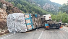 Antalya'da kontrolden çıkan TIR devrildi