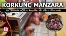 Antalya'da korkunç manzara! Sağlıksız koşullardaki etlere el konuldu