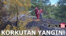 Antalya'da korkutan orman yangını