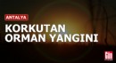 Antalya'da korkutan orman yangını