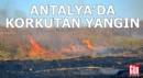 Antalya'da korkutan yangın!