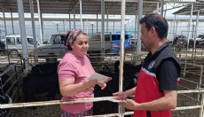 Antalya'da kurbanlık satış yerlerinde denetim