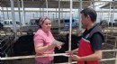 Antalya'da kurbanlık satış yerlerinde denetim