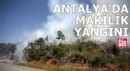 Antalya'da makilik yangını