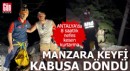 Antalya'da manzara keyfi kabusa döndü