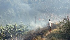 Antalya'da muz ve avokado bahçeleri yangında zarar gördü